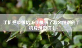 手机登录微信（手机丢了怎么用别的手机登录微信）