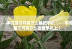vivo手机蓝牙耳机怎么连接手机（vivo手机蓝牙耳机怎么连接手机上）