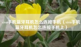vivo手机蓝牙耳机怎么连接手机（vivo手机蓝牙耳机怎么连接手机上）