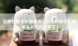 远程控制手机摄像头（远程控制手机摄像头人脸识别不了）