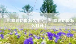 手机映射功能怎么用（手机映射功能怎么打开）