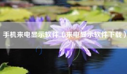 手机来电显示软件（来电显示软件下载）