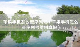 苹果手机怎么查序列号（苹果手机怎么查序列号辨别真假）