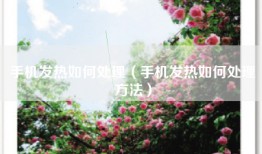 手机发热如何处理（手机发热如何处理方法）