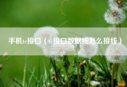 手机tc接口（tc接口数据线怎么接线）