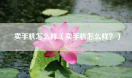 卖手机怎么样（卖手机怎么样？）