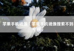 苹果手机镜像（苹果手机镜像搜索不到电视）