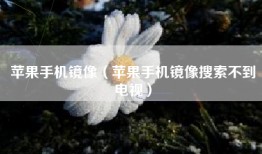 苹果手机镜像（苹果手机镜像搜索不到电视）