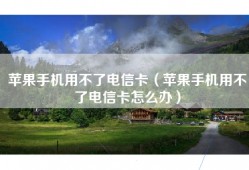 苹果手机用不了电信卡（苹果手机用不了电信卡怎么办）