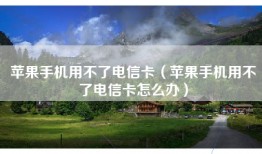 苹果手机用不了电信卡（苹果手机用不了电信卡怎么办）