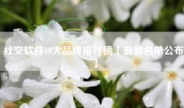 社交软件10大品牌排行榜【最新名单公布】