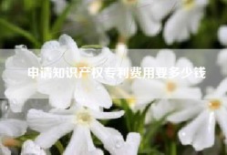 申请知识产权专利费用要多少钱