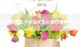 手机接龙（手机接龙怎么操作视频教程）