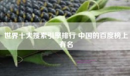 世界十大搜索引擎排行 中国的百度榜上有名
