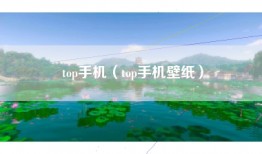 top手机(top手机壁纸)