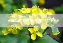 uc浏览器 最新版2021年v13.7.3.1154