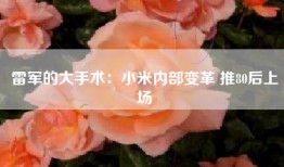 雷军的大手术：小米内部变革 推80后上场