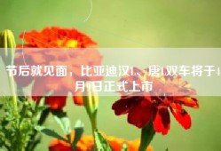 节后就见面，比亚迪汉L、唐L双车将于4月9日正式上市