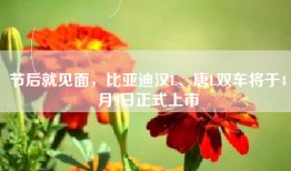 节后就见面，比亚迪汉L、唐L双车将于4月9日正式上市