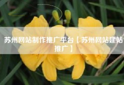 苏州网站制作推广平台【苏州网站建站推广】