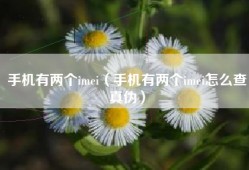 手机有两个imei（手机有两个imei怎么查真伪）