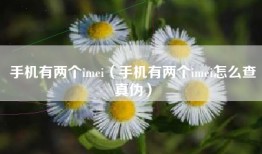 手机有两个imei（手机有两个imei怎么查真伪）