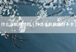 什么手机网络好（什么手机网络好不卡）