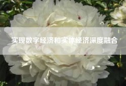 实现数字经济和实体经济深度融合