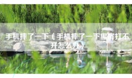 手机摔了一下（手机摔了一下黑屏打不开怎么办）