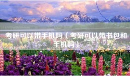考研可以带手机吗（考研可以带书包和手机吗）