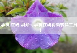 手机 在线 视频（手机在线视频转换工具）