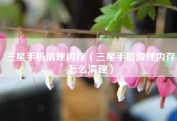 三星手机清理内存（三星手机清理内存怎么清理）