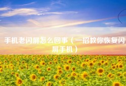 手机老闪屏怎么回事（一招教你恢复闪屏手机）