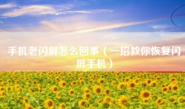手机老闪屏怎么回事（一招教你恢复闪屏手机）