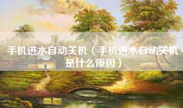 手机进水自动关机（手机进水自动关机是什么原因）