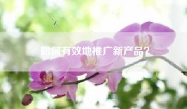 如何有效地推广新产品？