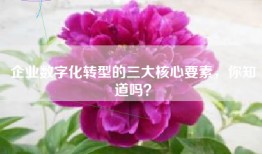 企业数字化转型的三大核心要素，你知道吗？