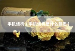 手机烤机（手机烤机是什么意思）