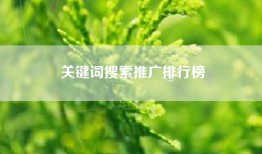 关键词搜索推广排行榜