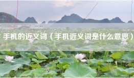手机的近义词（手机近义词是什么意思）