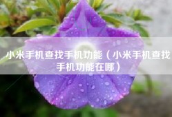 小米手机查找手机功能（小米手机查找手机功能在哪）