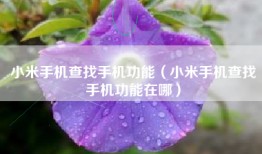 小米手机查找手机功能（小米手机查找手机功能在哪）