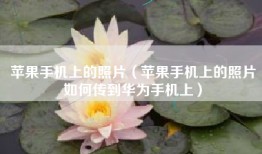 苹果手机上的照片（苹果手机上的照片如何传到华为手机上）