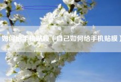 如何给手机贴膜（自己如何给手机贴膜）