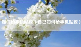 如何给手机贴膜（自己如何给手机贴膜）