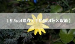 手机标识修改（手机标识怎么取消）