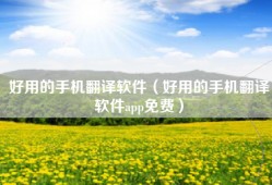 好用的手机翻译软件（好用的手机翻译软件app免费）