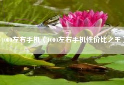 1000左右手机（1000左右手机性价比之王）