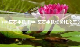 1000左右手机（1000左右手机性价比之王）