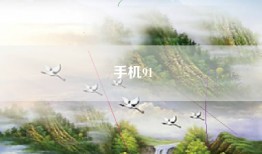 手机91
